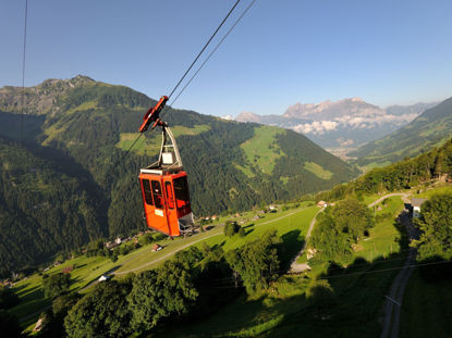 Bild von Ratzi Einzel